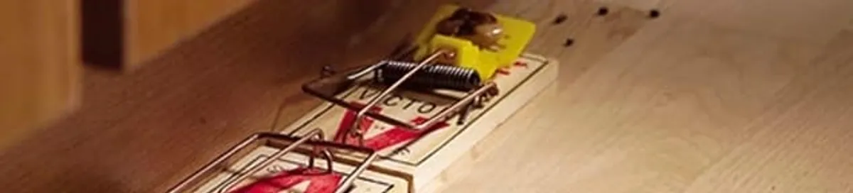 Rodent trap set indoors for rodent control and prevention in Little Rock, AR